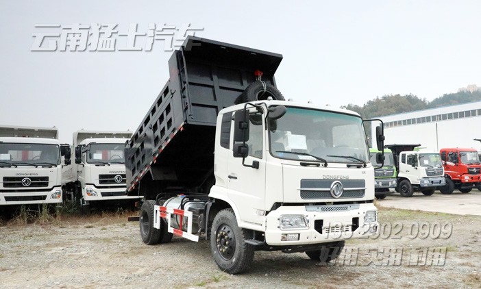 东风4*2卡车,天锦自卸车,东风天锦报价,载重5吨自卸车,160马力自卸车,DFL3120B